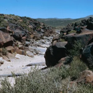 Field Trip, Big & Little Petroglyph Canyons