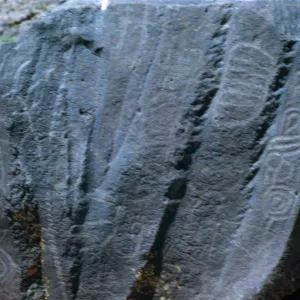Field Trip, Big & Little Petroglyph Canyons