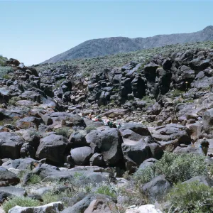 Field Trip, Big & Little Petroglyph Canyons