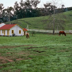 main house, Santa Cruz Island