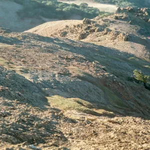 Santa Cruz Island, overgrazed land