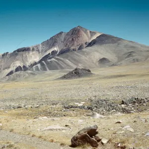 Trip to Ancient Bristlecone Forest, Inyo National Forest w/Neil Muller, 1960-68