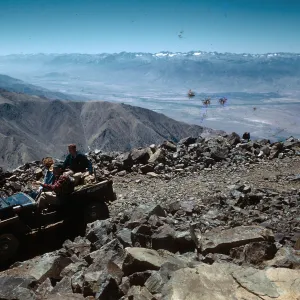 Trip to Ancient Bristlecone Forest, Inyo National Forest w/Neil Muller, 1960-68
