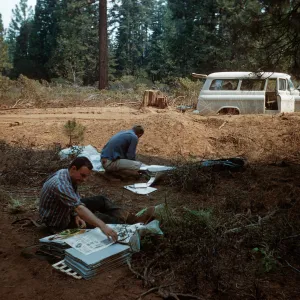 Pressing plant specimens, Santa Barbara Botanic Garden Sequoia trip, Sequoia National Park, 1961