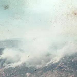 Fire, Santa Barbara Botanic Garden trip, Sequoia National Park, 1961