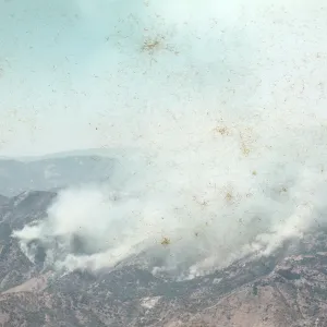 Fire, Santa Barbara Botanic Garden trip, Sequoia National Park, 1961