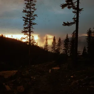 Fire, Santa Barbara Botanic Garden trip, Sequoia National Park, 1961
