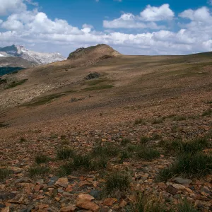 Alpine Fell - fields, Dana Plateau, Carex