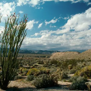 Anza-Borrego State Park
