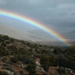 Anza-Borrego
