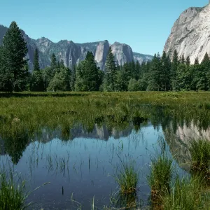 Leidig Meadow, Yosemite Valley, Mariposa County