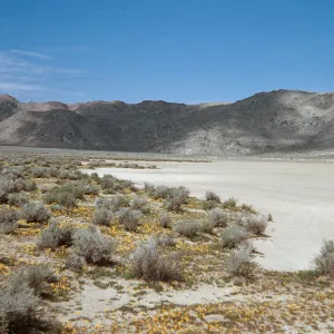 Rabbit Dry Lake, Lucerne Valley
