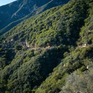 Santa Ynez Mountains