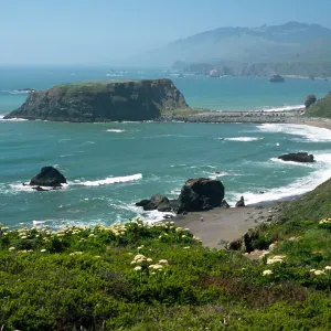 meadow, Sonoma County