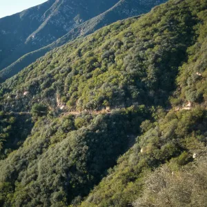 Santa Ynez Mountains