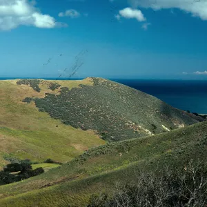 Sage Scrub/Grassland, contact, Hollister Ranch, Santa Barbara County