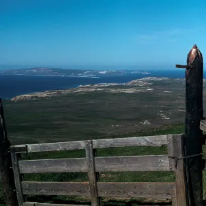 Grassland, western Santa Rosa Island, westward toward San Miguel Island