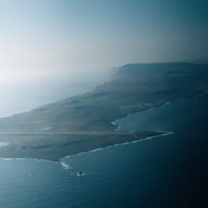  Dissanthelium californicum SCMI