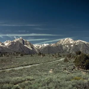 PiÃ±on/Juniper Woodland