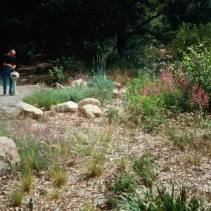Newly planted perennial border at top of Meadow